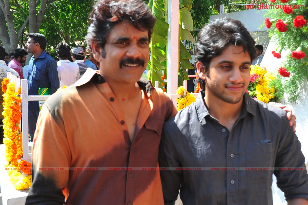Naga Chaithanya Movie Launch Event hd photo