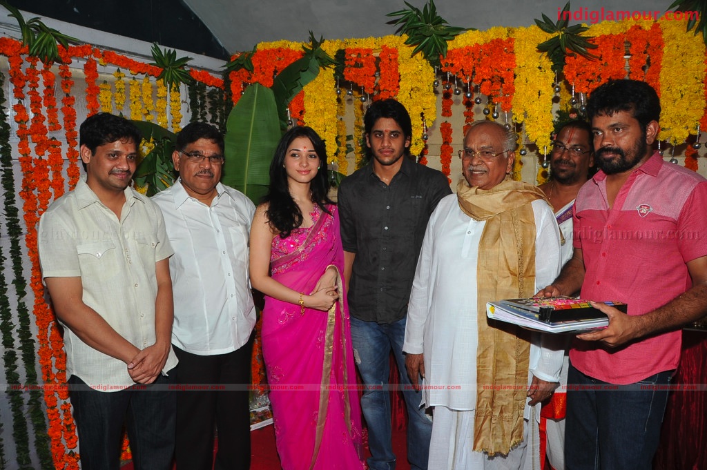 Naga Chaithanya Movie Launch Event hd photo