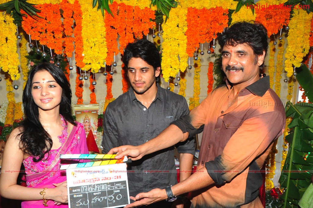 Naga Chaithanya Movie Launch Event hd photo