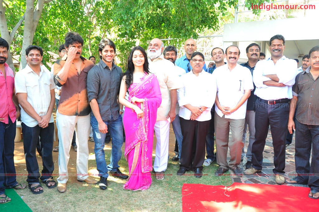 Naga Chaithanya Movie Launch Event hd photo