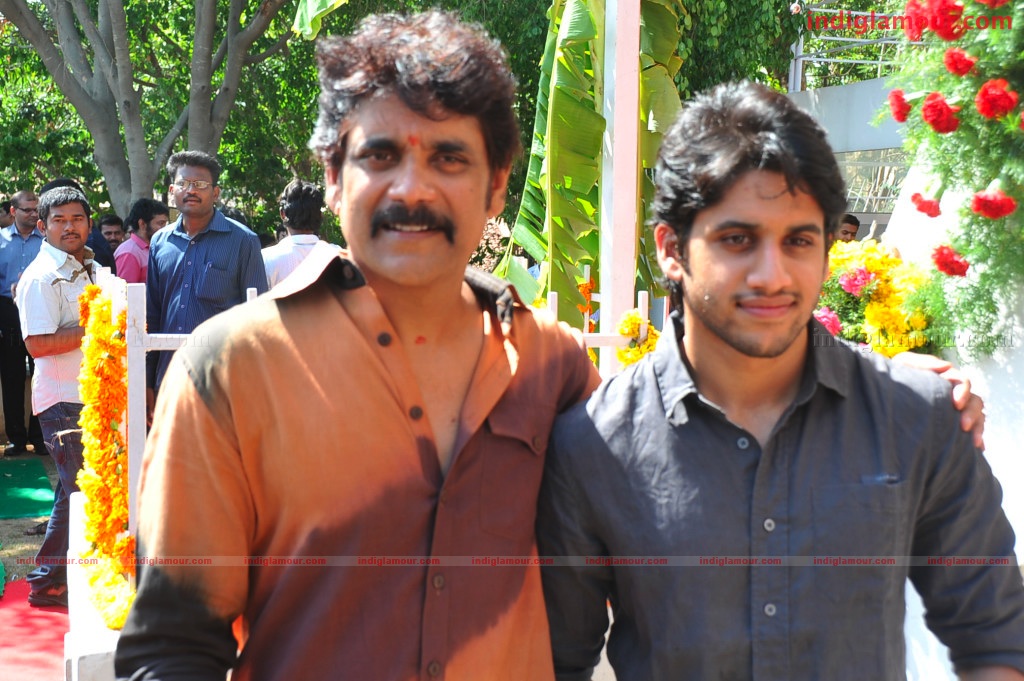 Naga Chaithanya Movie Launch Event hd photo