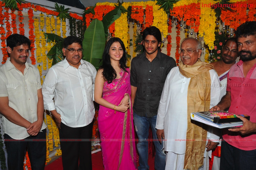 Naga Chaithanya Movie Launch Event hd photo
