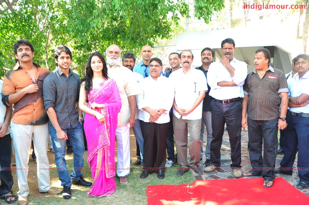 Naga Chaithanya Movie Launch Event hd photo