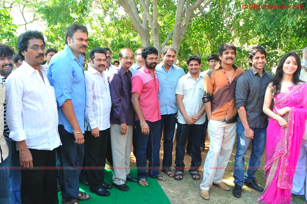 Naga Chaithanya Movie Launch Event hd photo