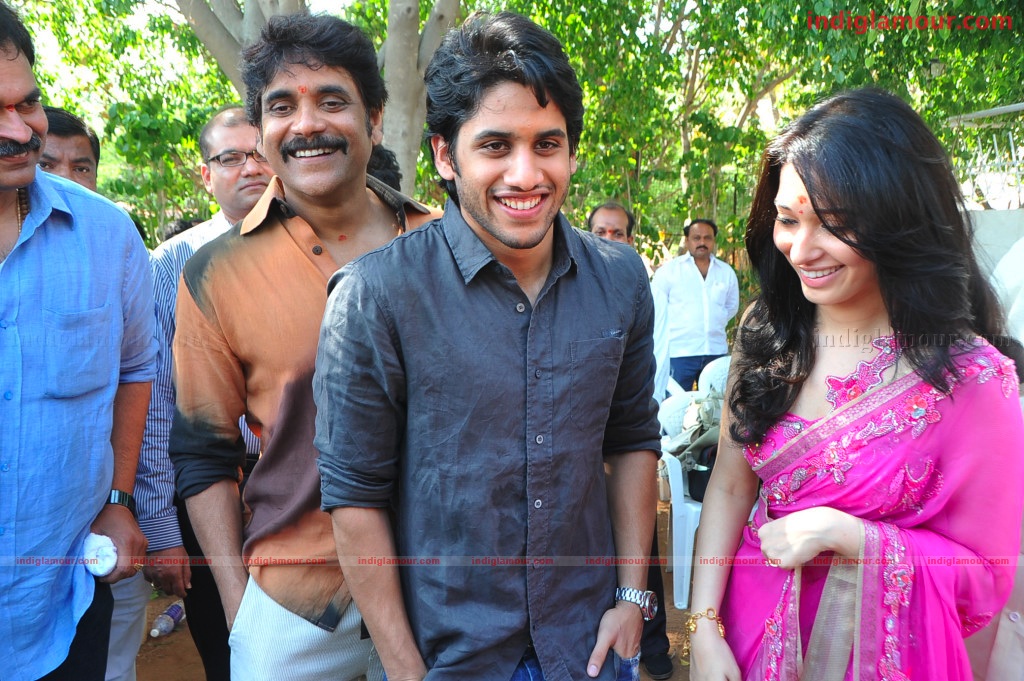 Naga Chaithanya Movie Launch Event hd photo