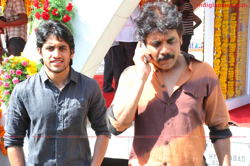 Naga Chaithanya Movie Launch Event hd photo