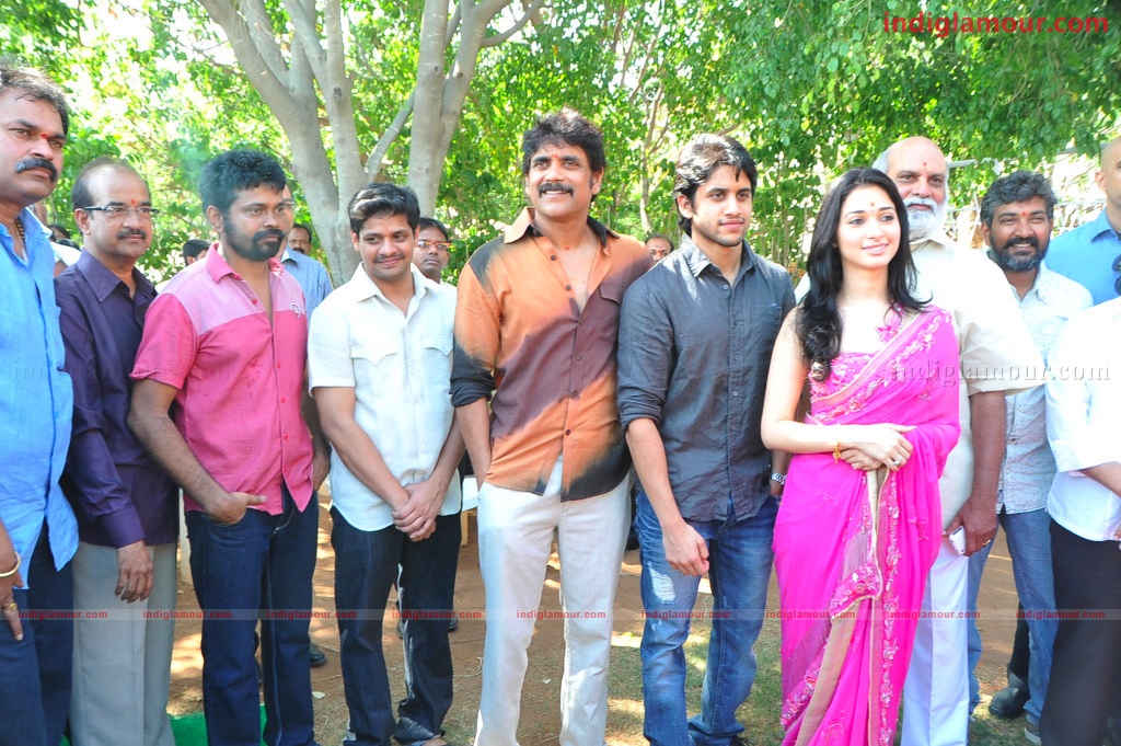 Naga Chaithanya Movie Launch Event hd photo