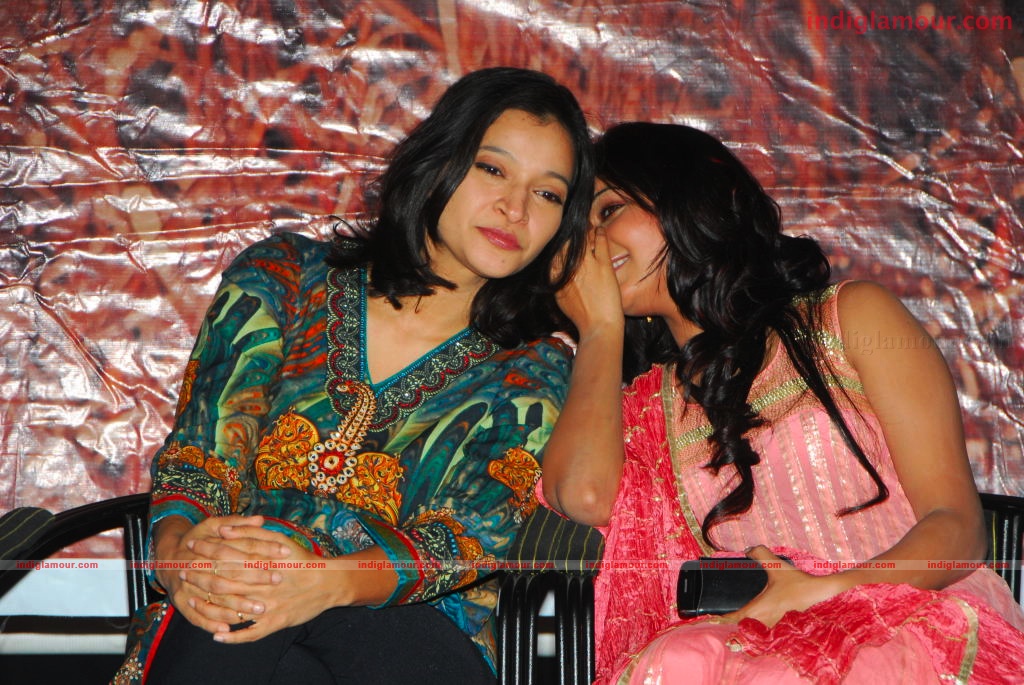 YMC Success Meet Event hd photo