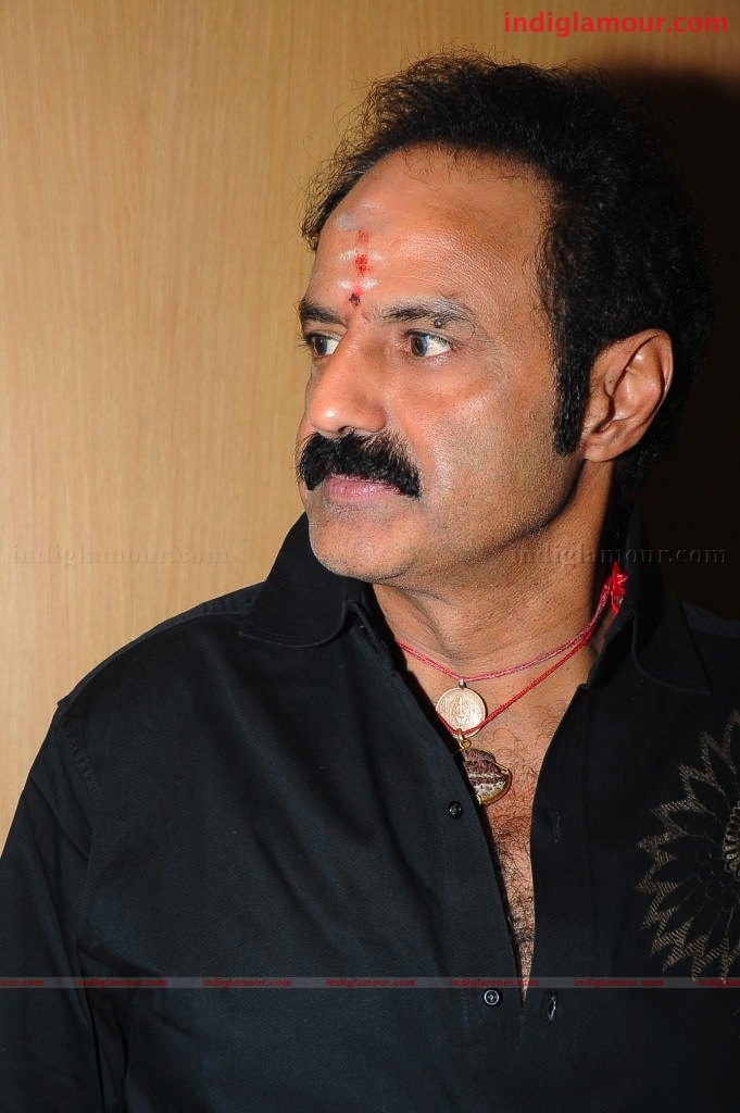 Simha Success Meet Event hd photo