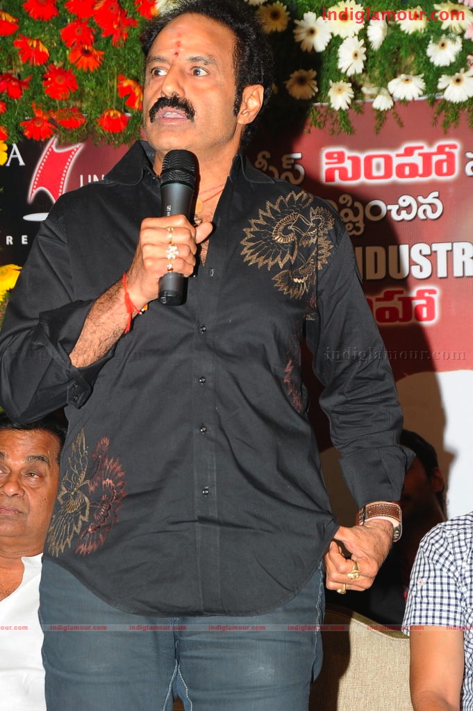 Simha Success Meet Event hd photo