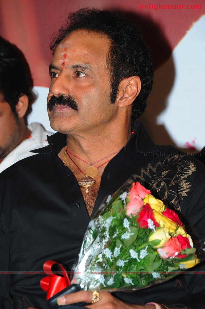 Simha Success Meet Event hd photo
