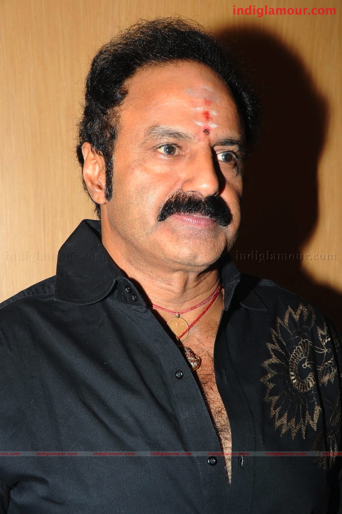 Simha Success Meet Event hd photo