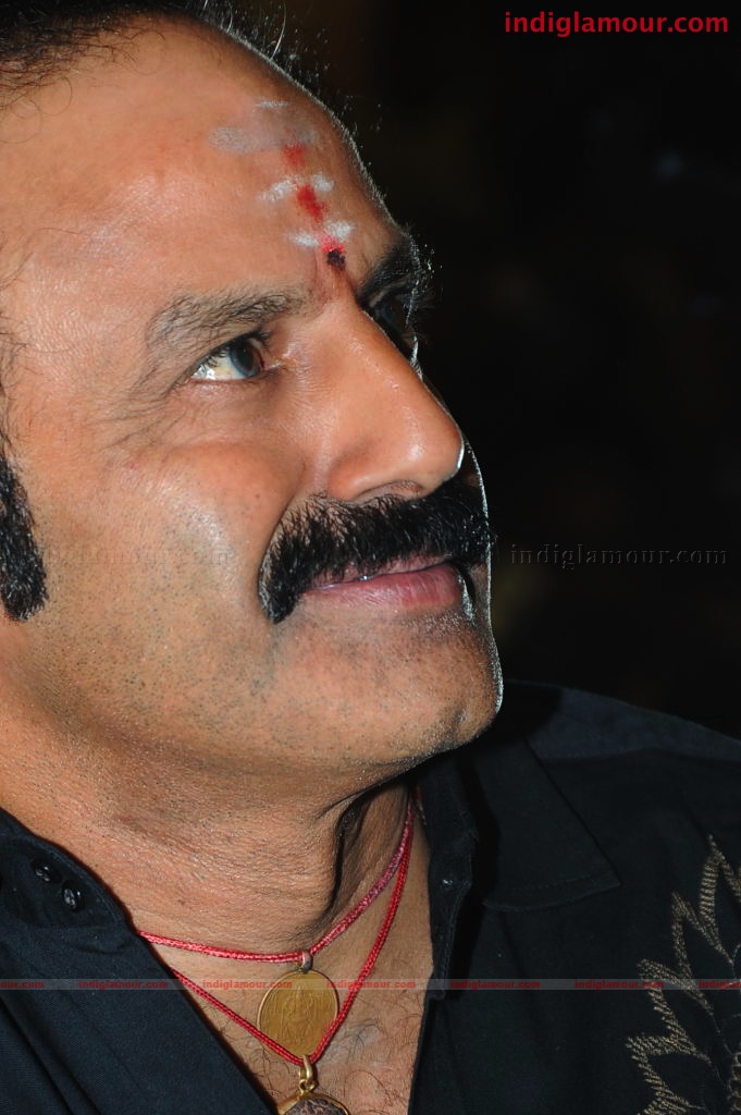 Simha Success Meet Event hd photo