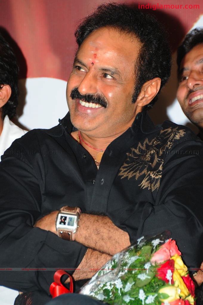 Simha Success Meet Event hd photo