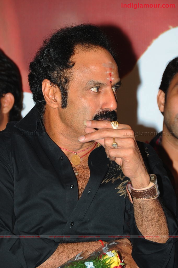 Simha Success Meet Event hd photo