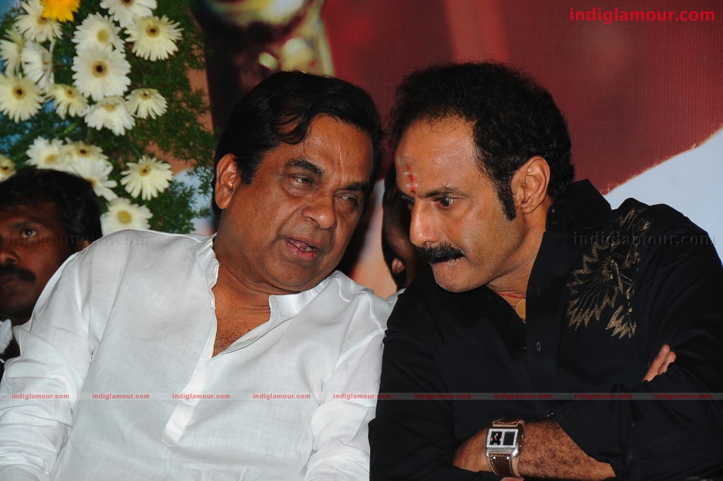 Simha Success Meet Event hd photo