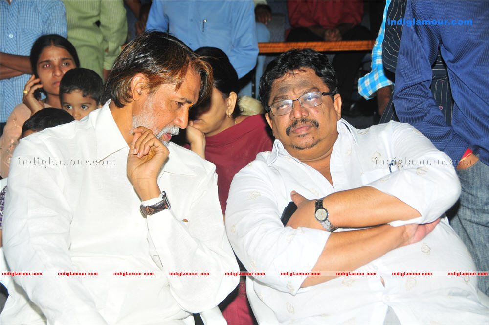 Daggaraga Dooranga Audio Launch Event hd photo