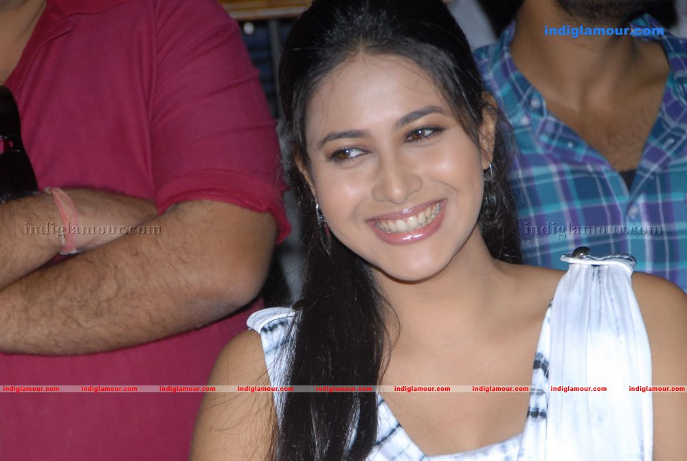 Akasame Haddu Audio Launch Event hd photo