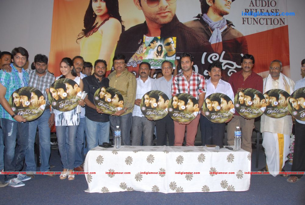 Akasame Haddu Audio Launch Event hd photo