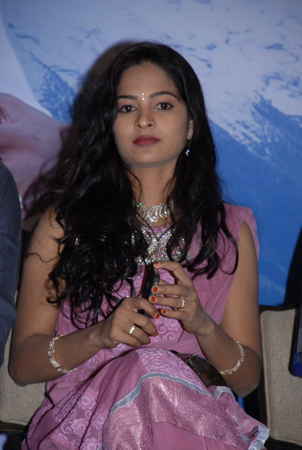 Vachhadu Gelichadu Audio Event hd photo