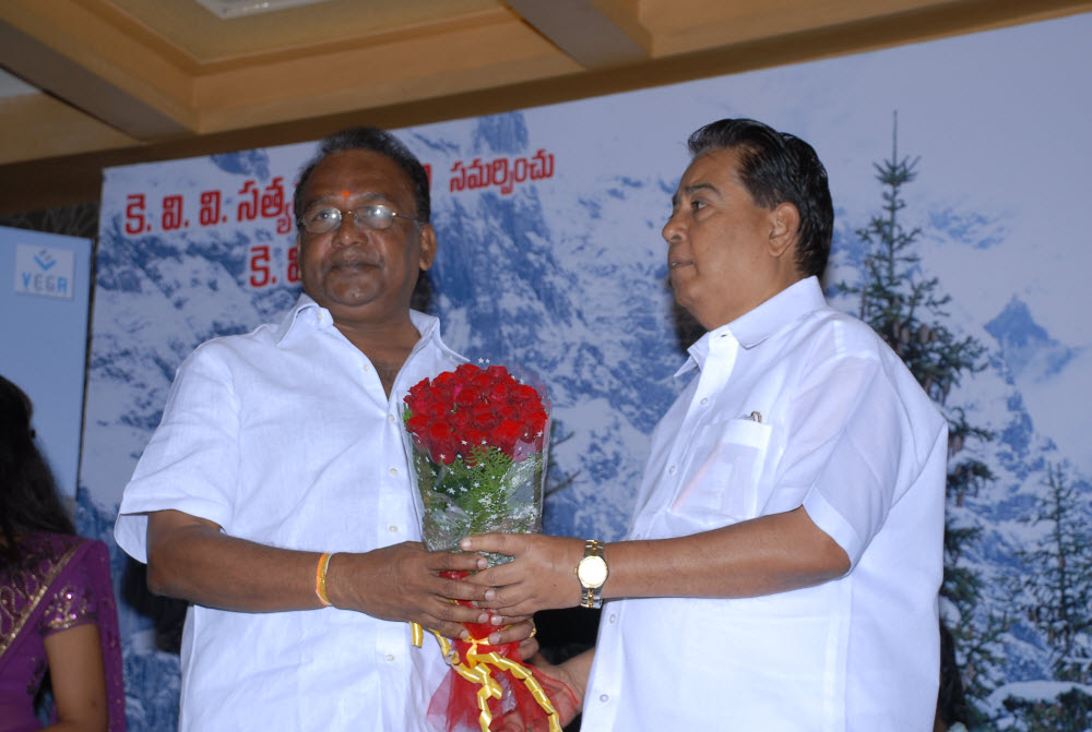 Vachhadu Gelichadu Audio Event hd photo