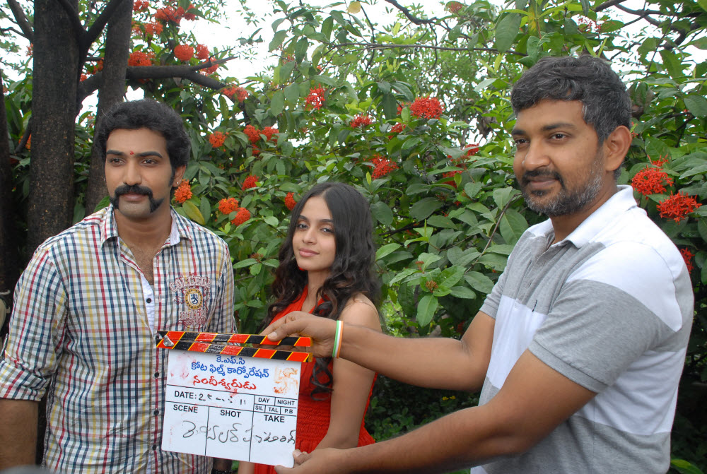 Nandeeswarudu Movie Opening Event hd photo