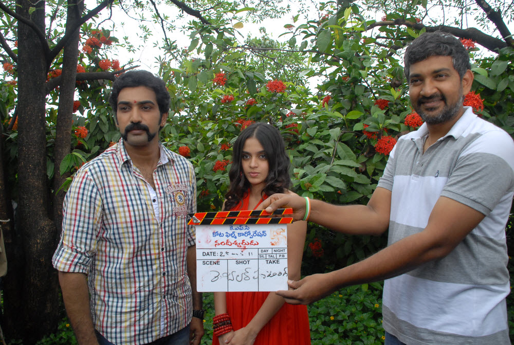 Nandeeswarudu Movie Opening Event hd photo