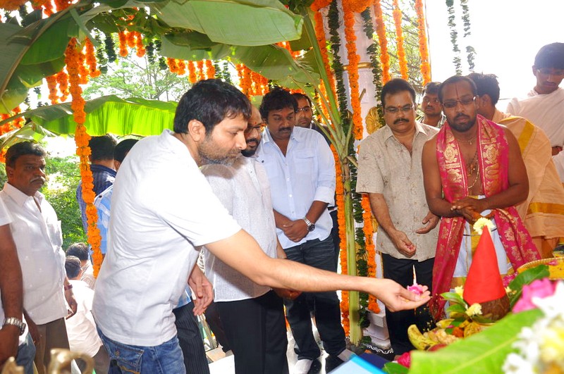Allu Arjun and Ileana New Movie launch Event hd photo