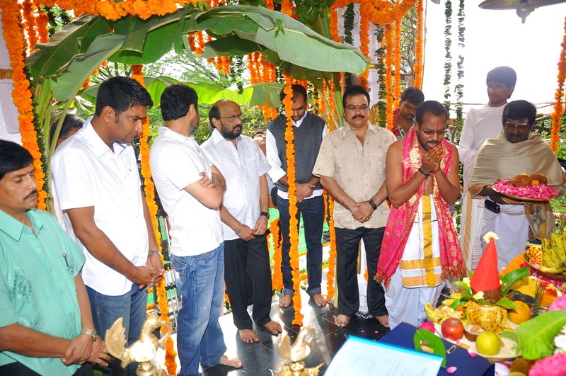 Allu Arjun and Ileana New Movie launch Event hd photo