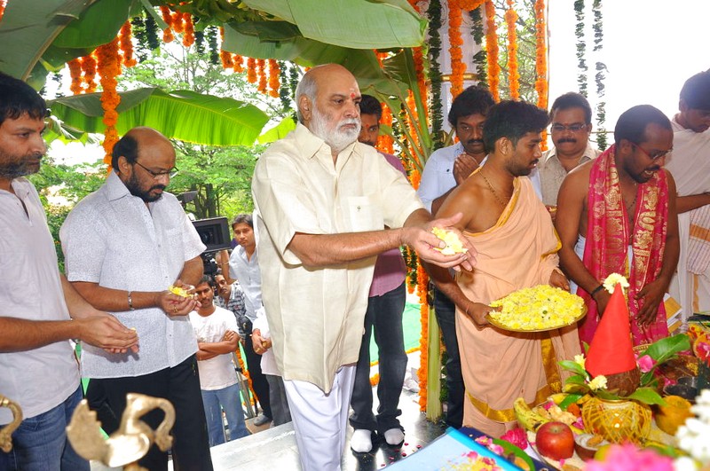 Allu Arjun and Ileana New Movie launch Event hd photo