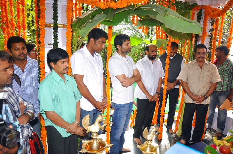 Allu Arjun and Ileana New Movie launch Event hd photo