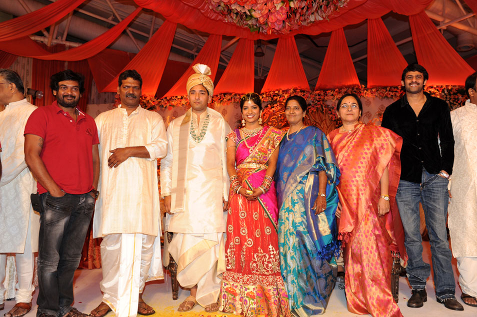 Shyam Prasad Reddy Daughter Wedding Photos Event hd photo