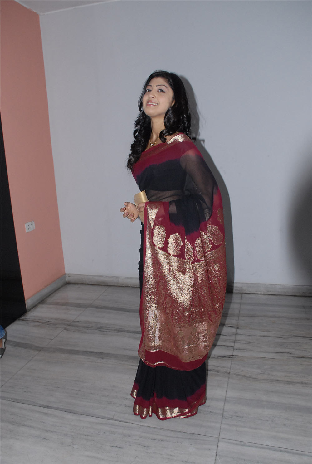Shaguni Logo Launch Event hd photo