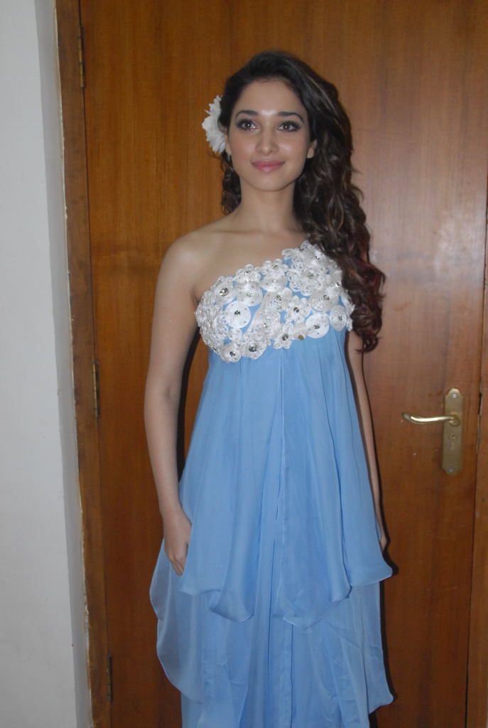 Oosaravelli Audio Launch Event hd photo