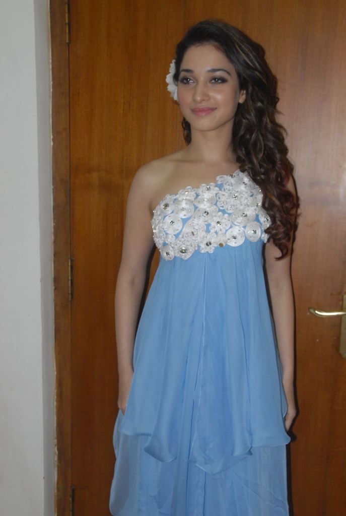 Oosaravelli Audio Launch Event hd photo