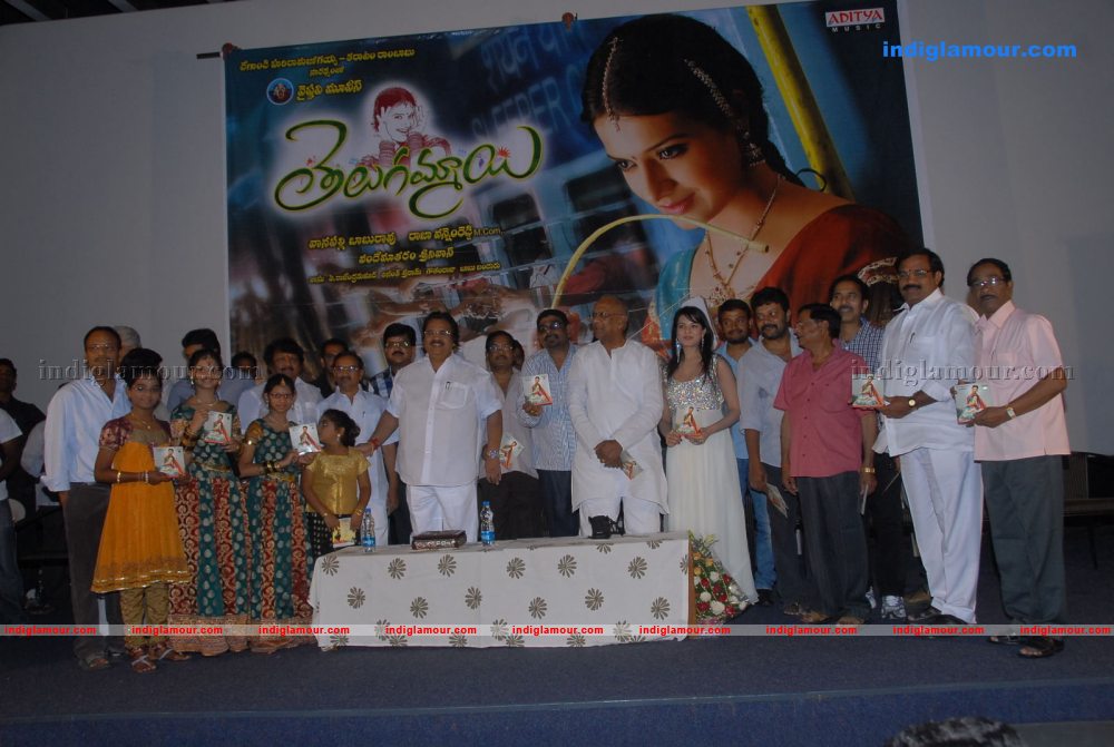 Telugu Ammai Movie Audio Launch Photos Event hd photo