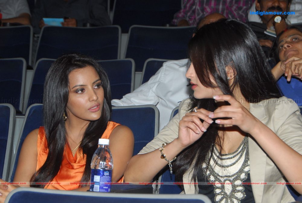 180 Movie Audio Launch Event hd photo