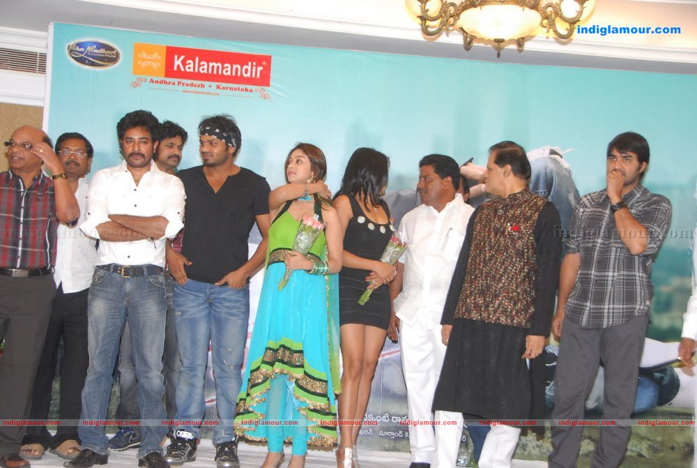 Mr Rascal Audio Launch Event hd photo