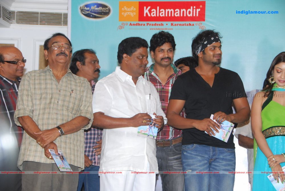 Mr Rascal Audio Launch Event hd photo