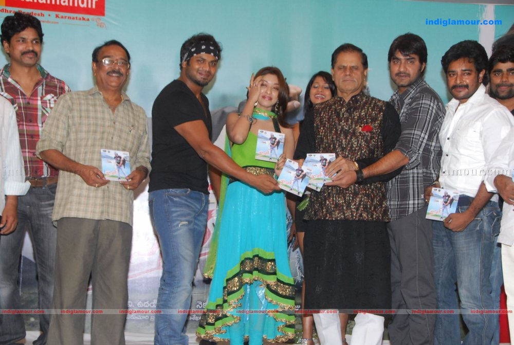 Mr Rascal Audio Launch Event hd photo