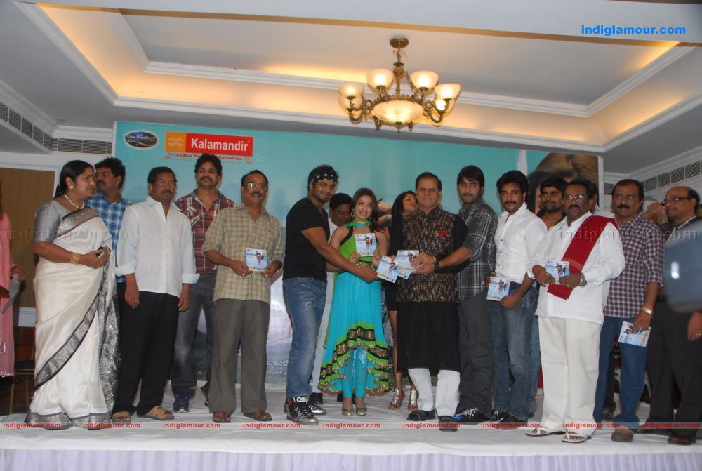 Mr Rascal Audio Launch Event hd photo