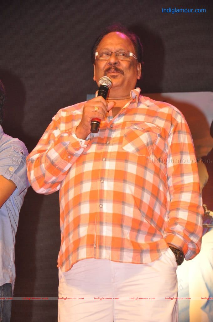 Srimannarayana Audio launch Event hd photo