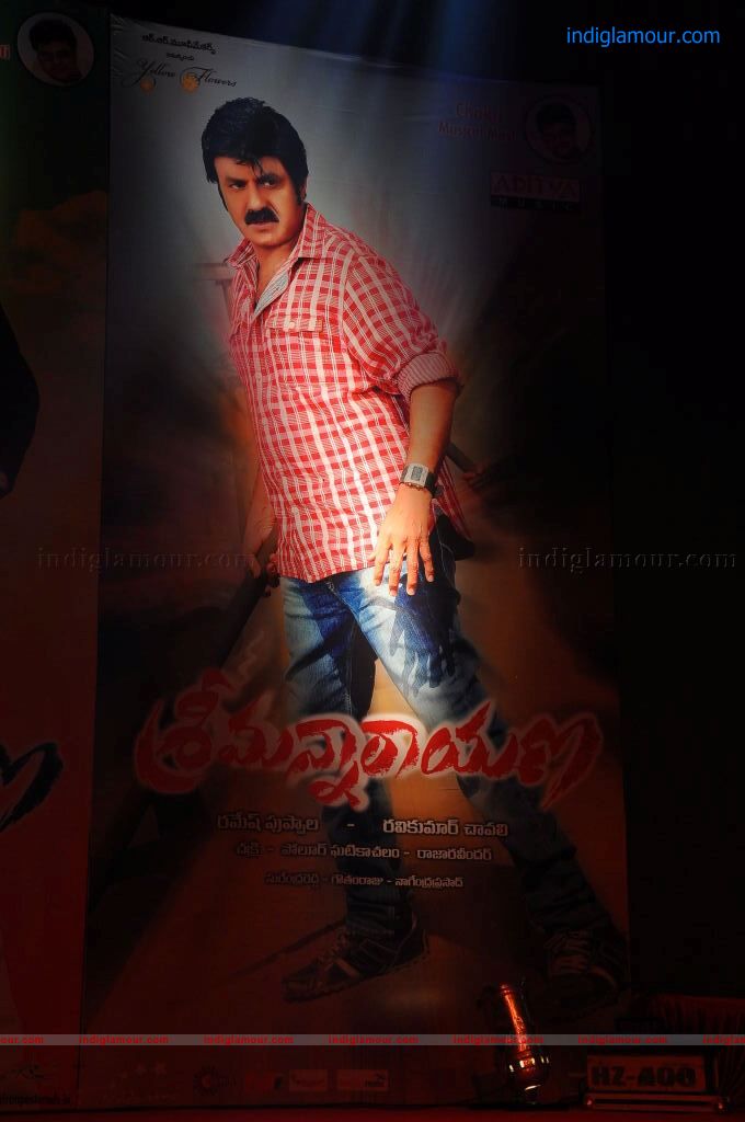 Srimannarayana Audio launch Event hd photo