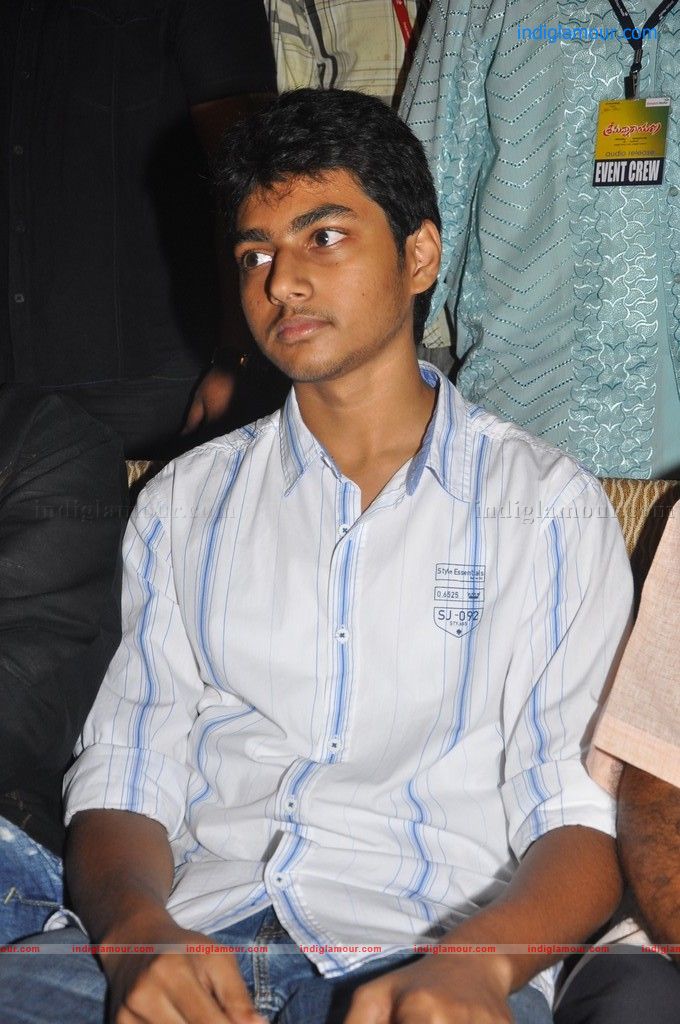 Srimannarayana Audio launch Event hd photo