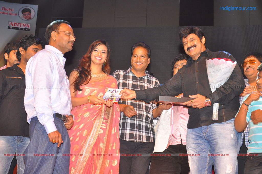 Srimannarayana Audio launch Event hd photo