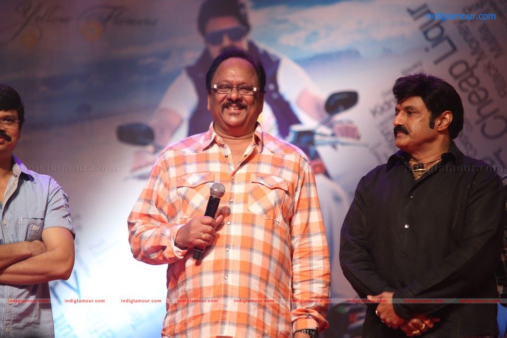 Srimannarayana Audio launch Event hd photo