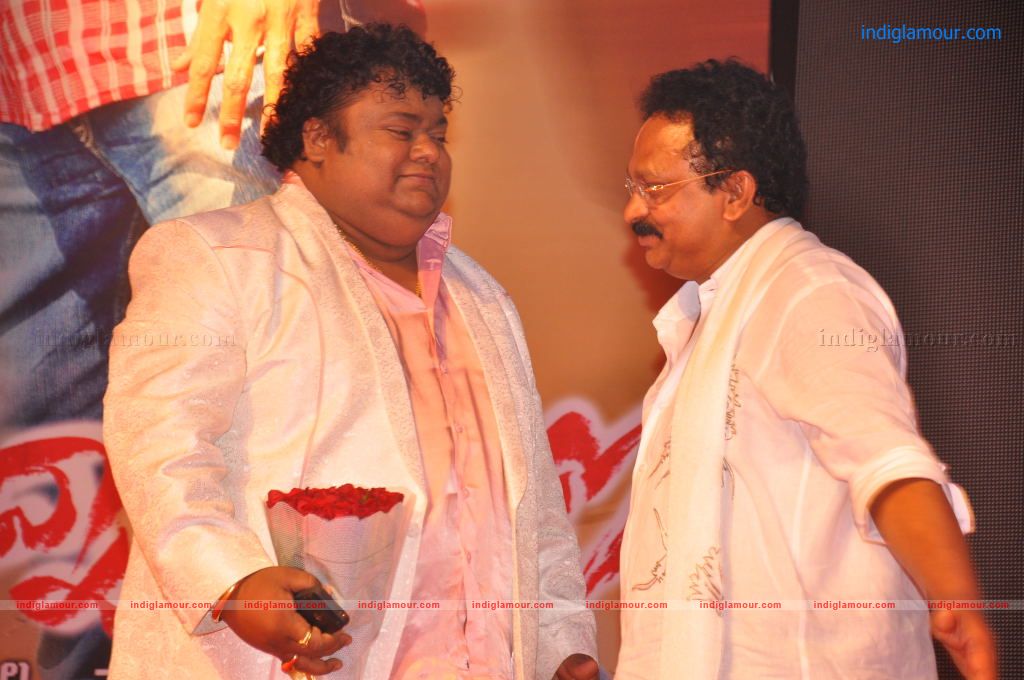 Srimannarayana Audio launch Event hd photo