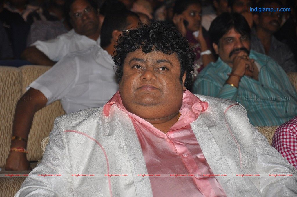 Srimannarayana Audio launch Event hd photo