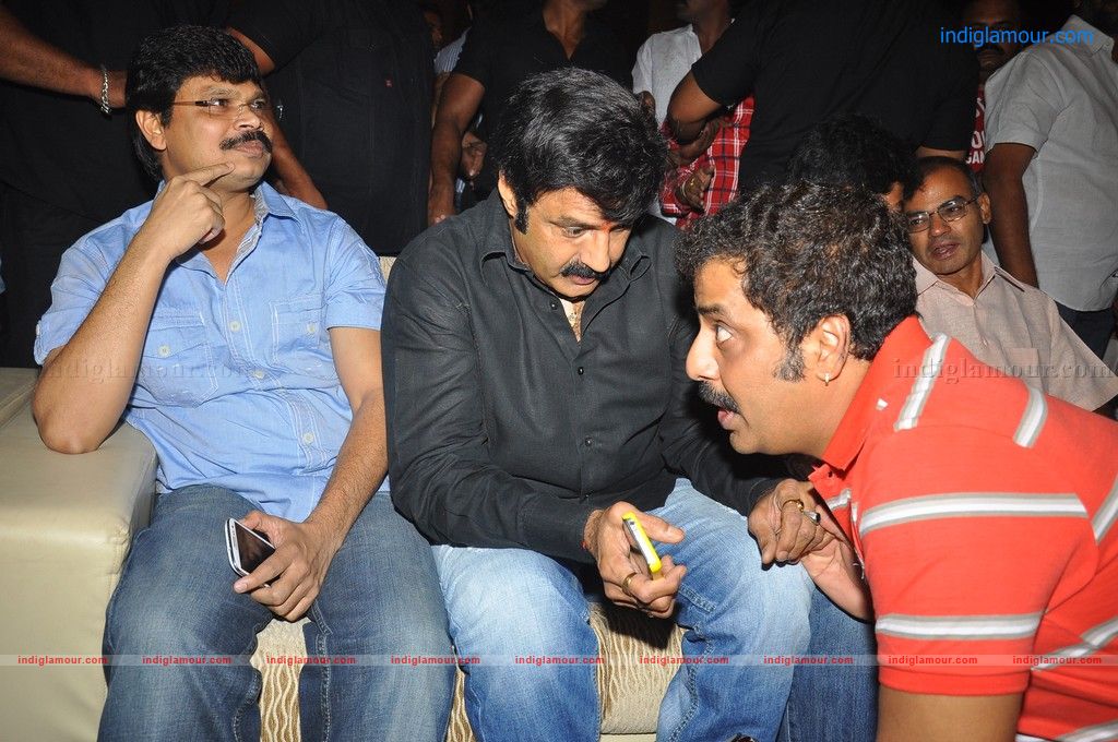 Srimannarayana Audio launch Event hd photo