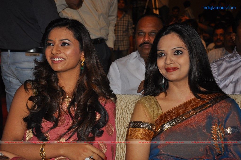Srimannarayana Audio launch Event hd photo